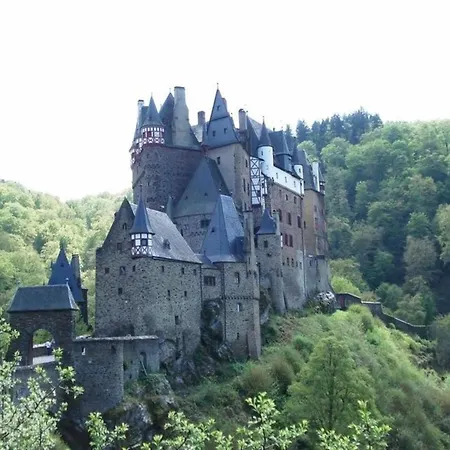 Adelheid Brachtendorf *