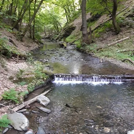 Adelheid Brachtendorf