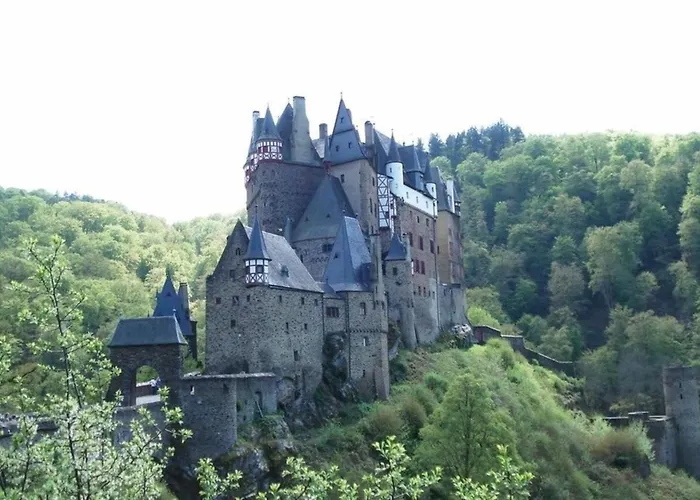 Adelheid Brachtendorf *