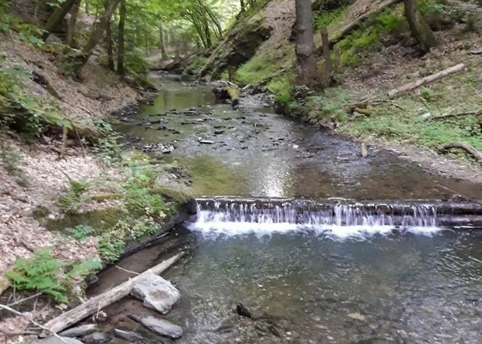 Adelheid Brachtendorf